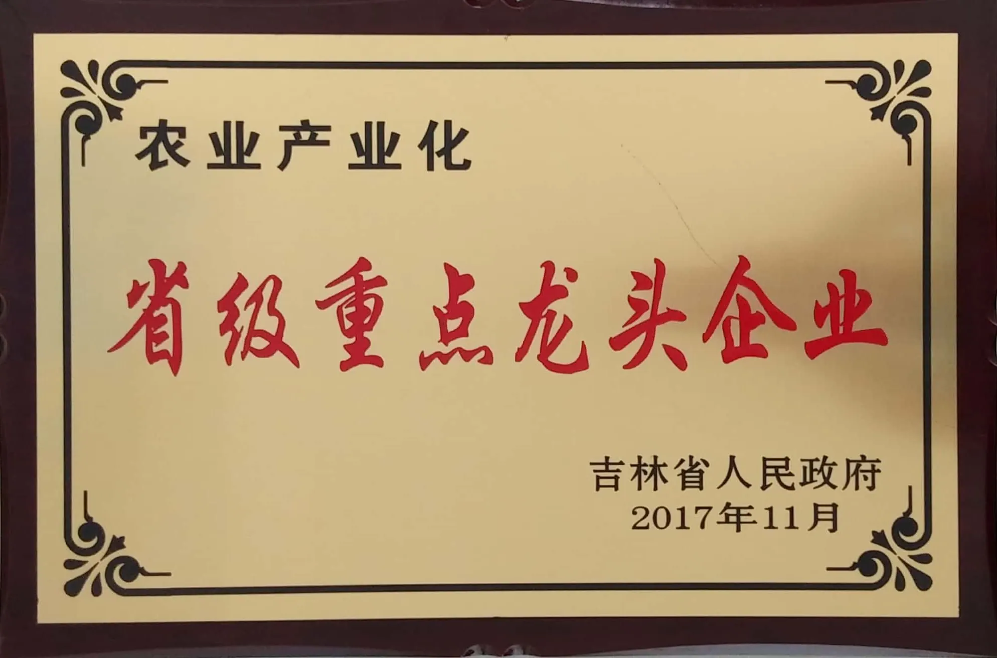 省级重点龙头企业